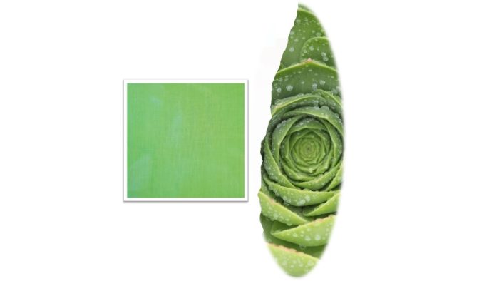 Cotton Fabric Wagner